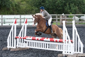 Class 6 - Fences not above 2'9